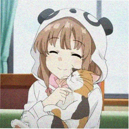 用户木鸟的头像